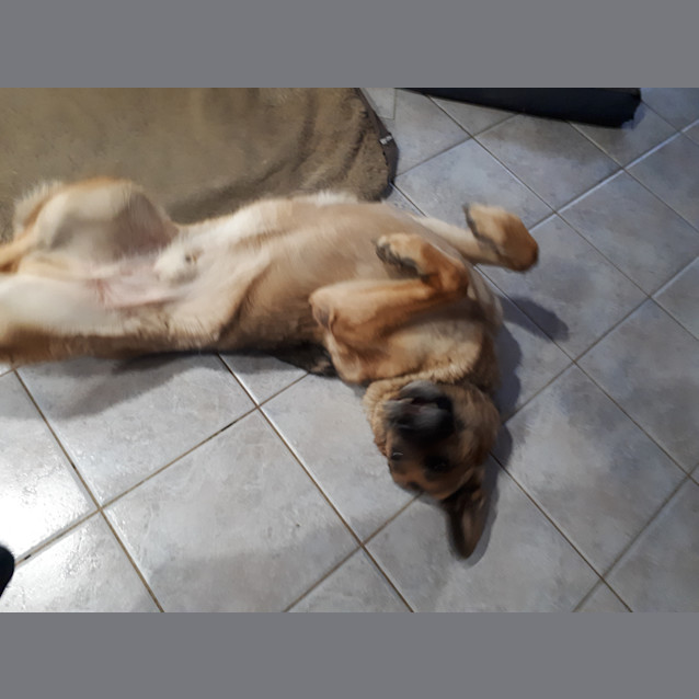 Photo of Mac   Meet And Greet Organised