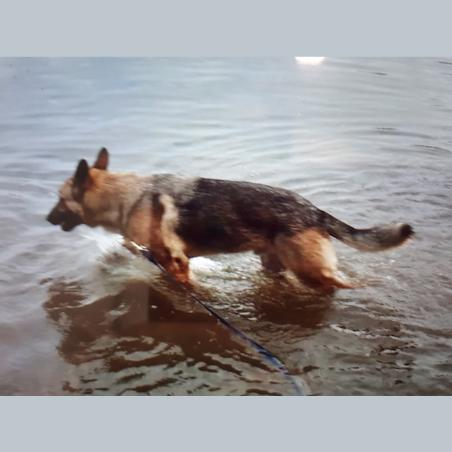 Photo of Mac   Meet And Greet Organised