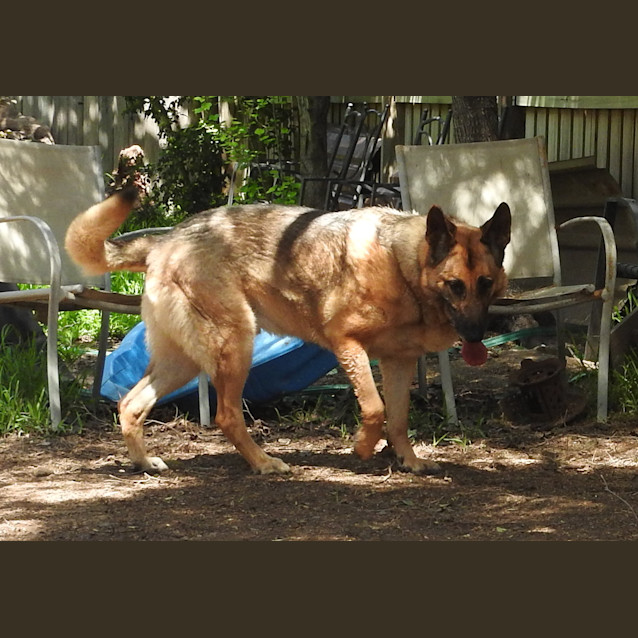 Photo of Mac   Meet And Greet Organised