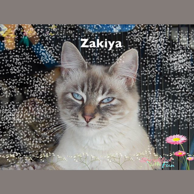 Photo of Zakiya