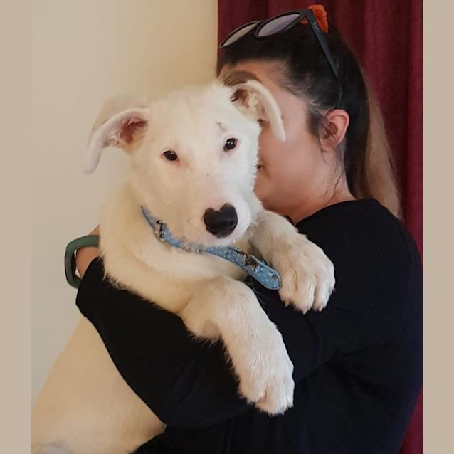 Photo of Sonar