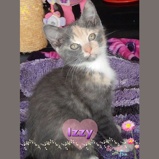 Photo of Izzy