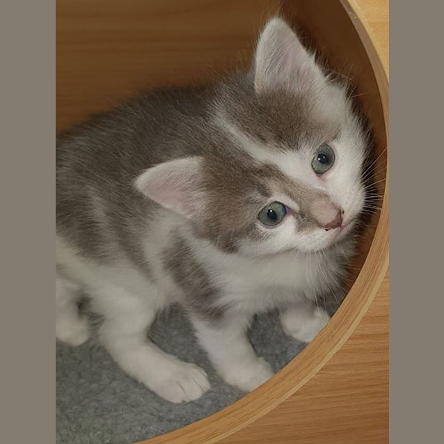 Photo of Star