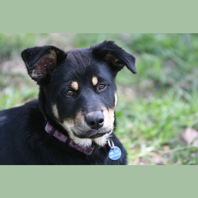 Photo of Zoe