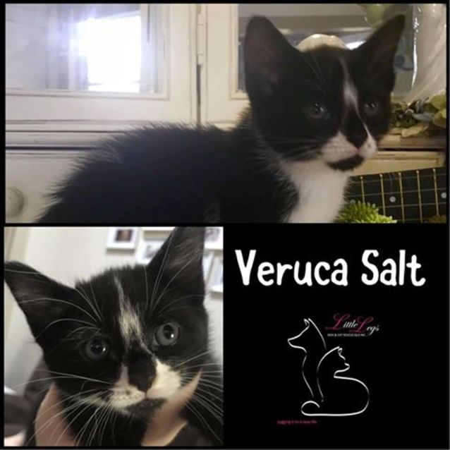 Photo of Veruca Salt