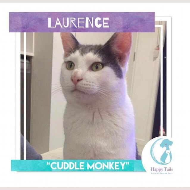 Photo of Laurence
