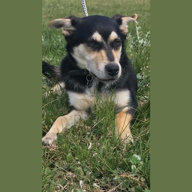 Photo of Bohdi