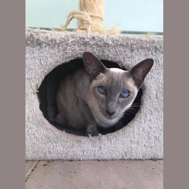 Photo of Mia 