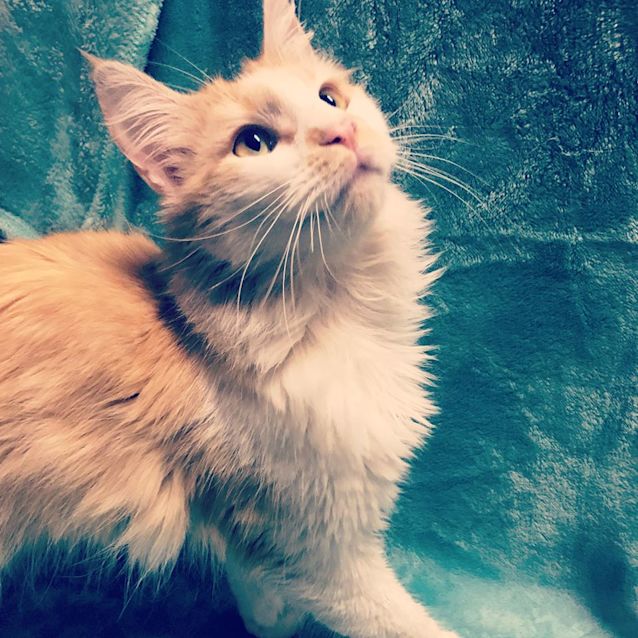 Photo of Sebastian