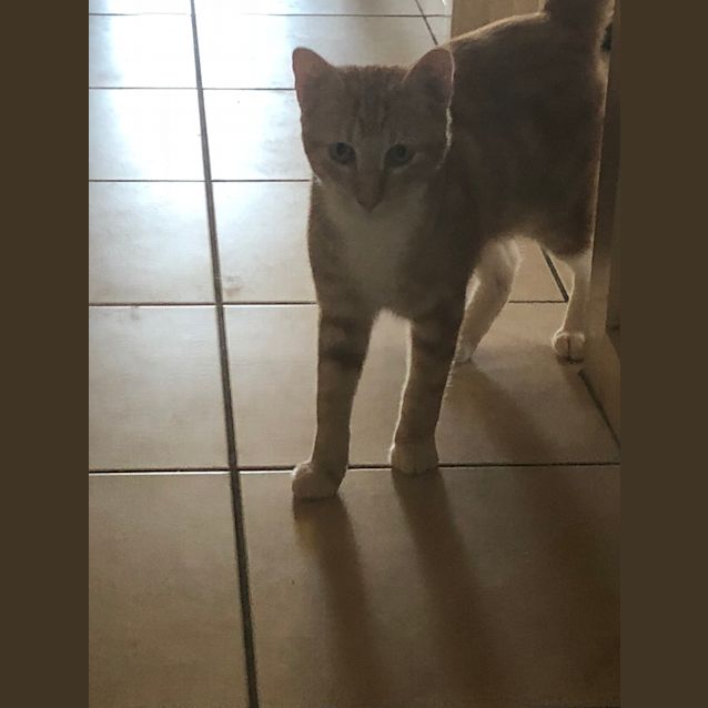 Photo of Ed Sheeran