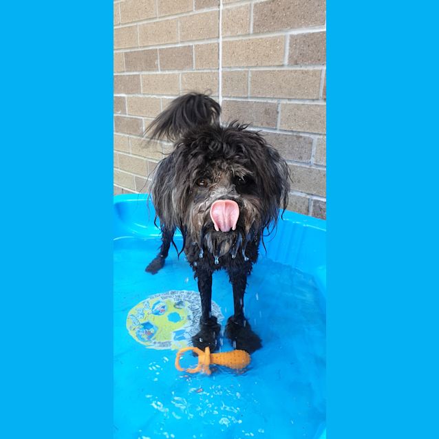 Photo of Hamish