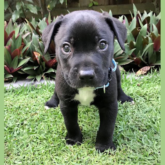 Photo of Eric 