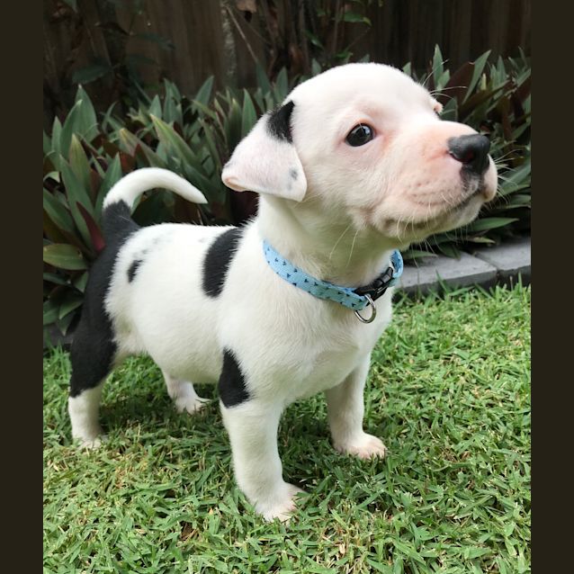 Photo of Ernie 