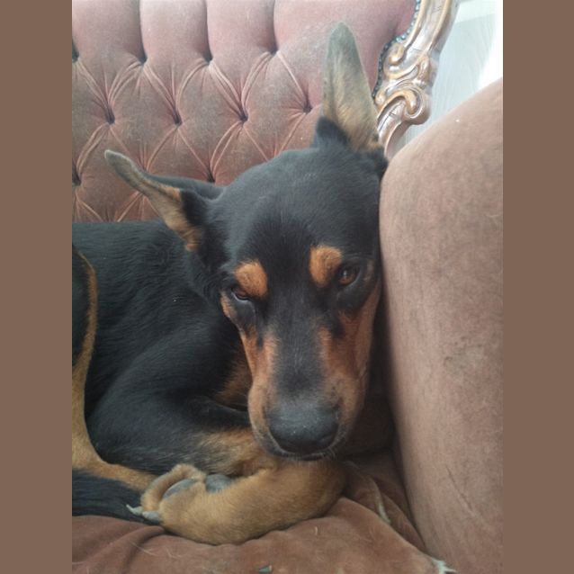 Photo of Bozo