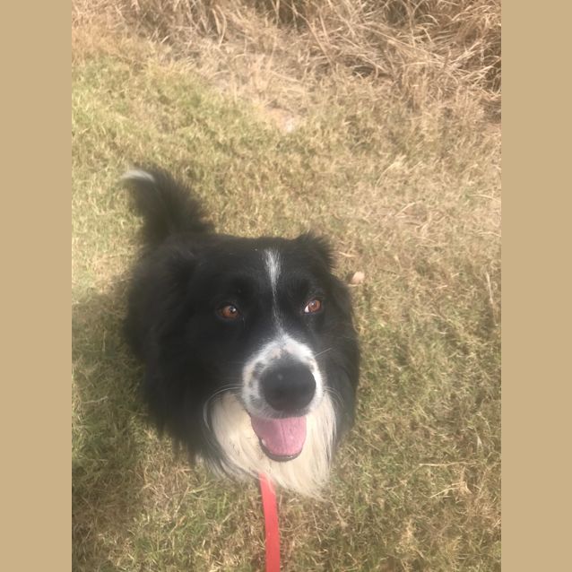 Photo of Jax 