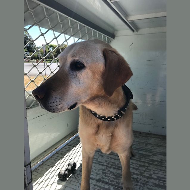 Photo of Turbo