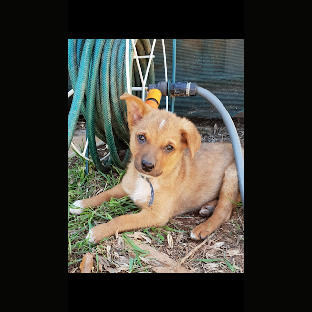 Photo of Teddy