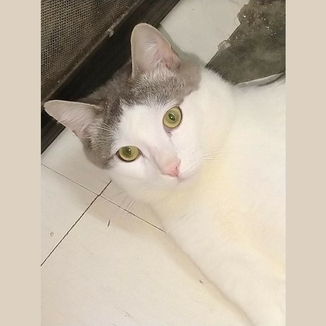 Photo of Riley