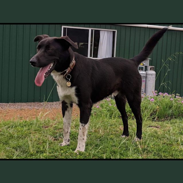 Photo of Lucky Ed0158