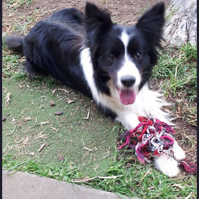 Photo of Yatou     *On Trial*