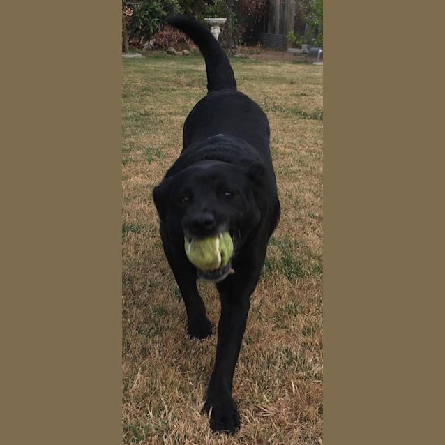 Photo of **On Trial** Coco