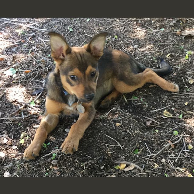 Photo of Trudy And Itty Bitty