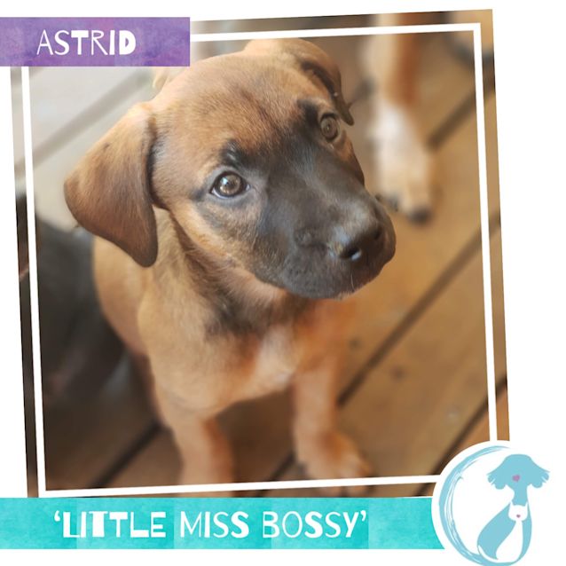 Photo of Astrid