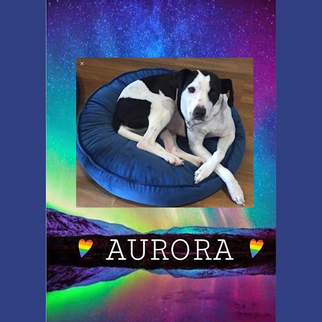 Photo of Aurora