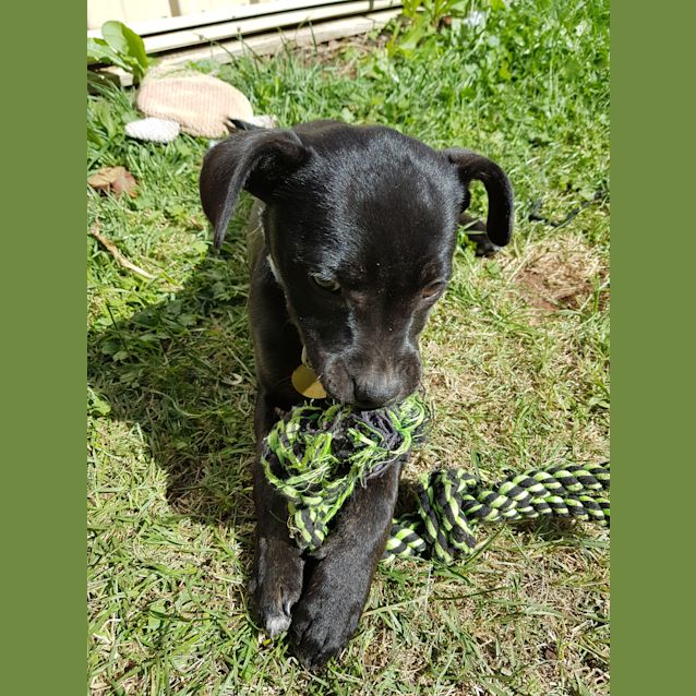 Photo of Etta