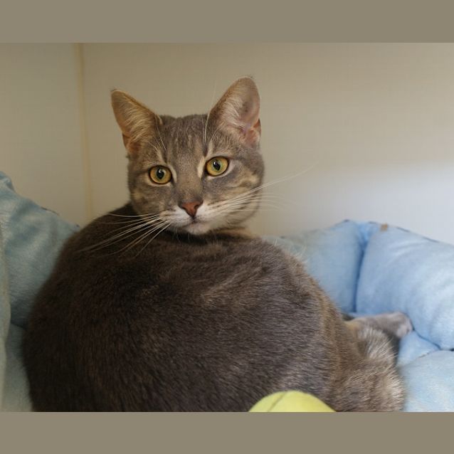 Photo of Tammy Rsuk001993