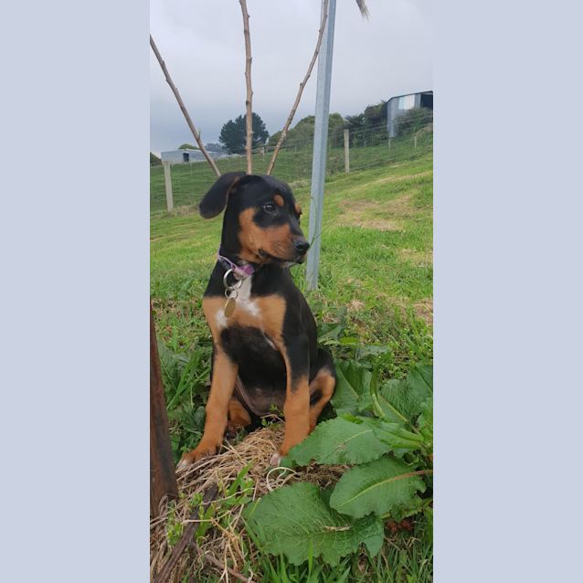 Photo of Winny