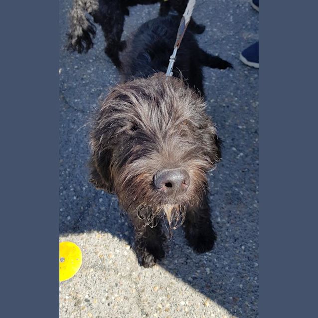 Photo of Ralph