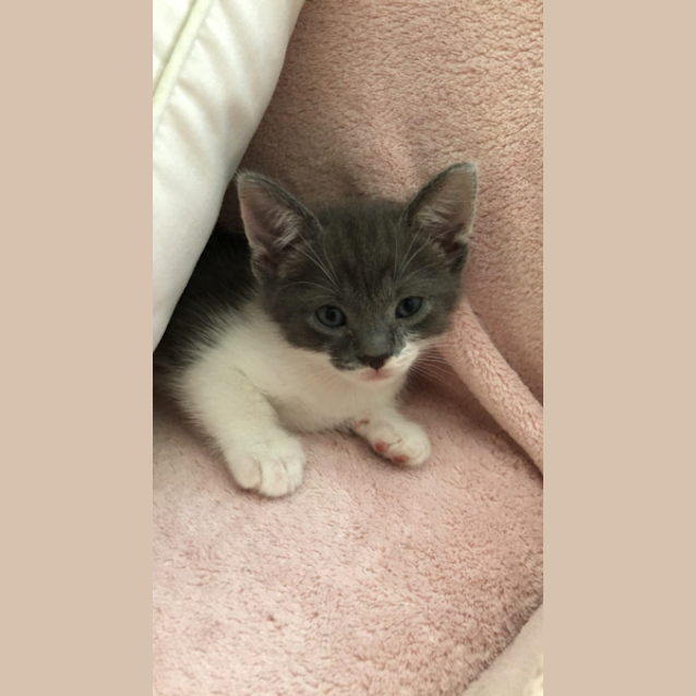 Photo of Flynn
