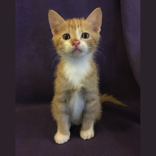 Photo of Zephyr 