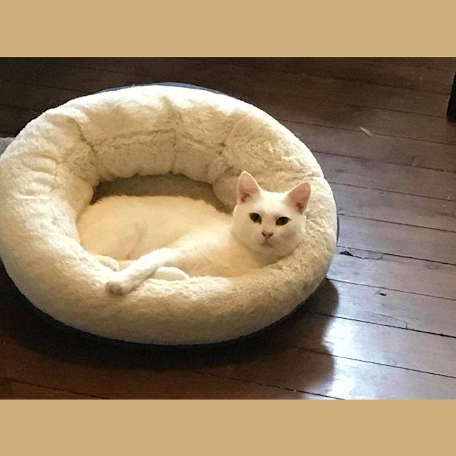 Photo of Zoe