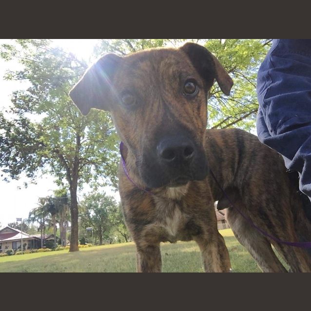 Photo of Tigger