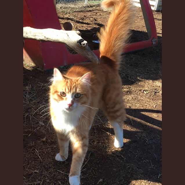 Photo of Hunter