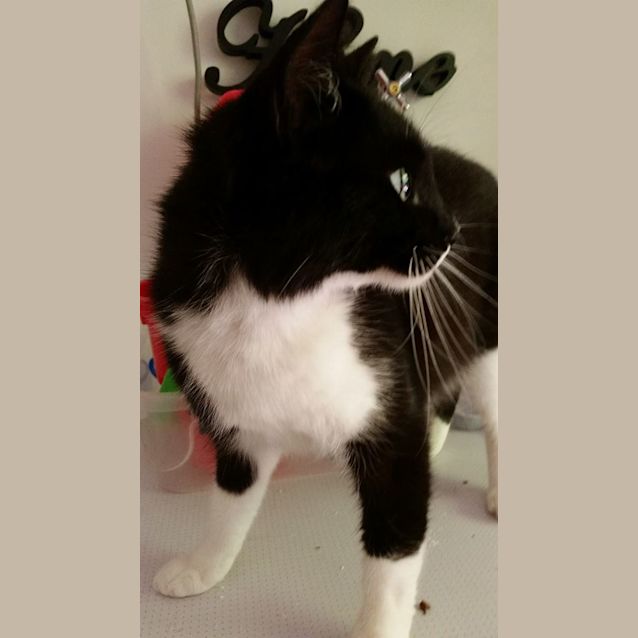 Photo of Boots
