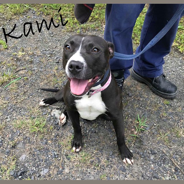 Photo of Kami