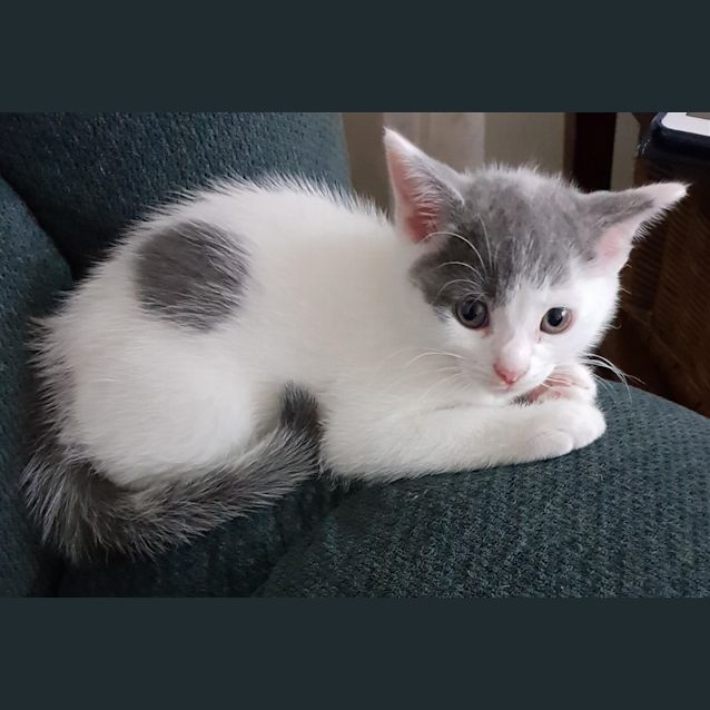 Photo of Luca