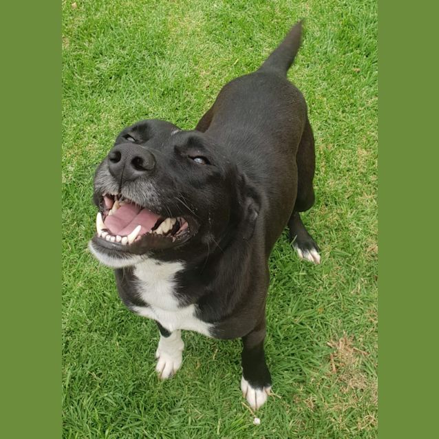 Photo of **On Trial** Barry