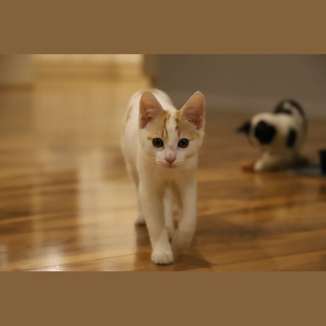 Photo of Sonny ☀️