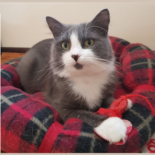 Photo of Monsieur Masky