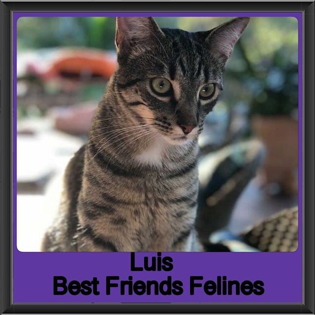 Photo of Luis