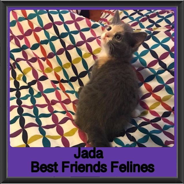 Photo of Jada