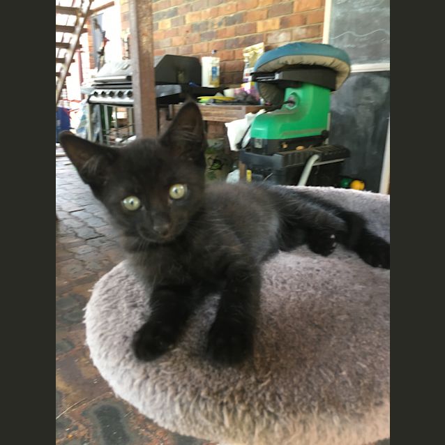 Photo of Spike