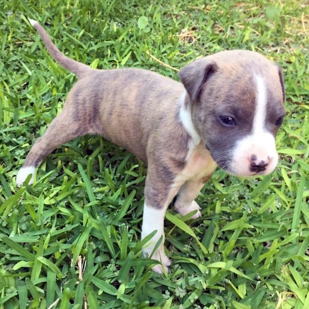 Photo of Mitch D4007