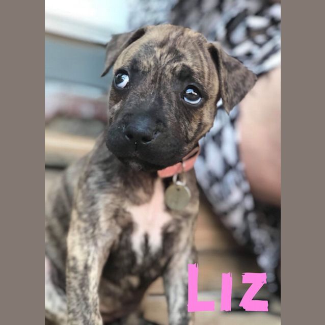 Photo of Liz