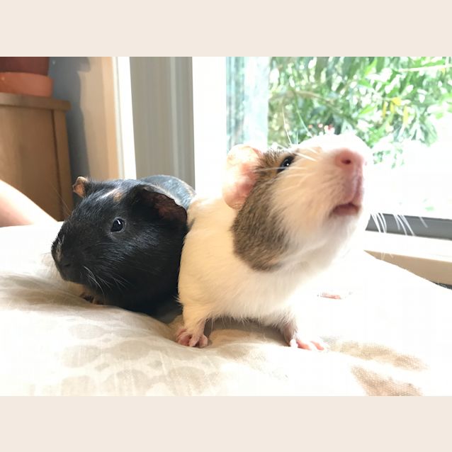 Photo of Krispy And Creme 