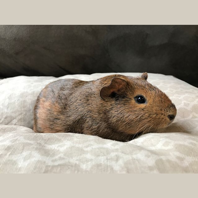 Photo of Gloria And Jean 